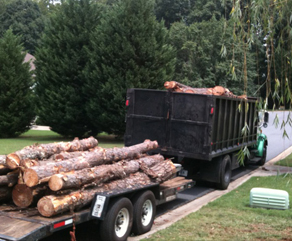 Chipper Trees LLC, trusted tree service company in Cumming, GA