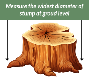 Tree stumping guide from Chipper Trees LLC
