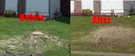 Before and after expert tree stumping from Chipper Trees LLC