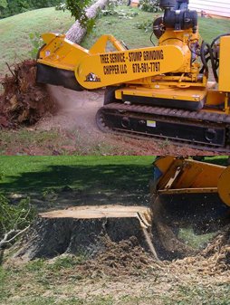 Tree stumping equipment used by Chipper Trees LLC in Cumming, GA