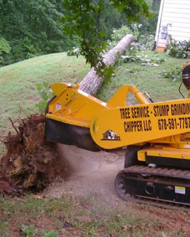 Storm Cleanup and Tree Demolition by Chipper Trees LLC