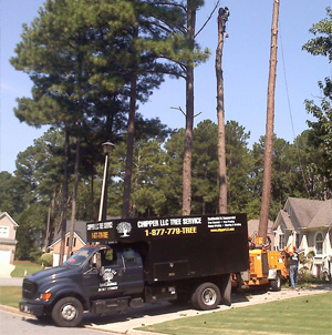 Truck of Chipper Trees LLC in Cumming, GA